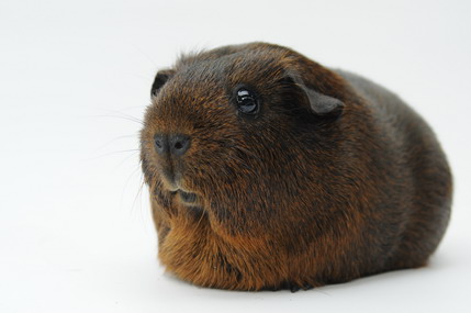 DSC_1160_Größenveränderung