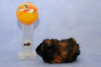 DSC_1287_Größenveränderung