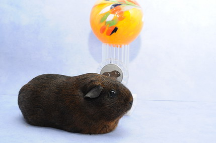 DSC_1314_Größenveränderung