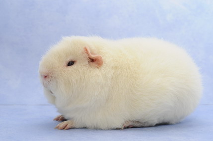 DSC_1375_Größenveränderung