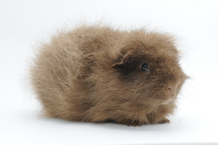 DSC_1387_Größenveränderung