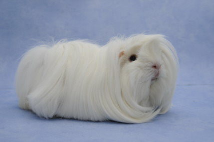 DSC_1407_Größenveränderung