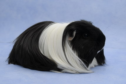 DSC_1410_Größenveränderung