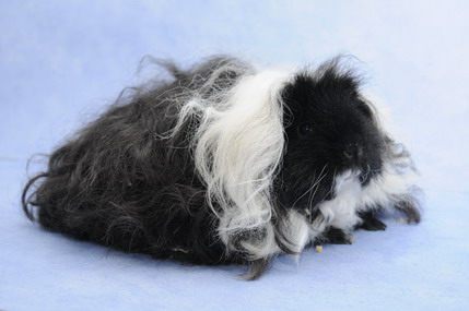 DSC_1418_Größenveränderung