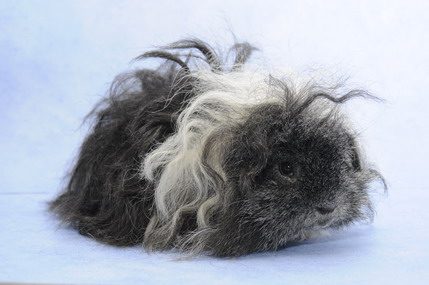 DSC_1425_Größenveränderung