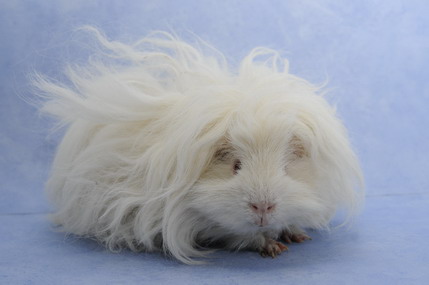 DSC_1426_Größenveränderung