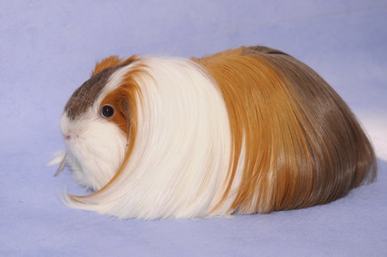 DSC_7061_Größenveränderung