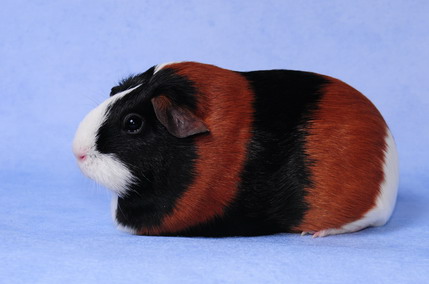 DSC_8921_Größenveränderung