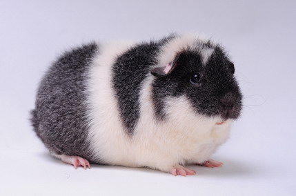 DSC_9223_Größenveränderung