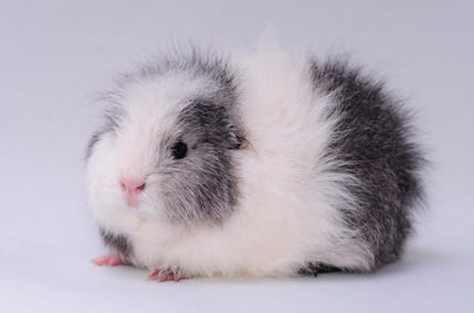 DSC_9358_Größenveränderung