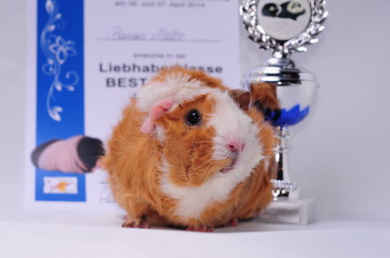 DSC_9381_Größenveränderung