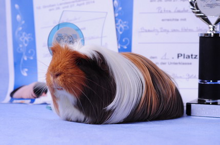 DSC_9443_Größenveränderung