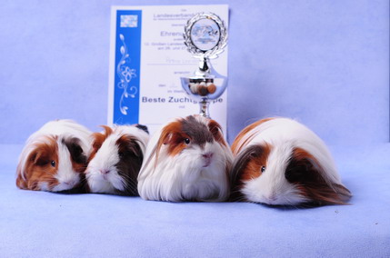 DSC_9541_Größenveränderung