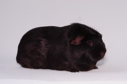 DSC_9657_Größenveränderung