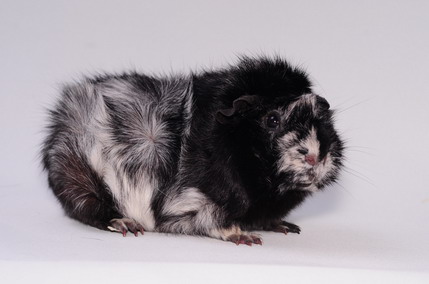 DSC_9665_Größenveränderung