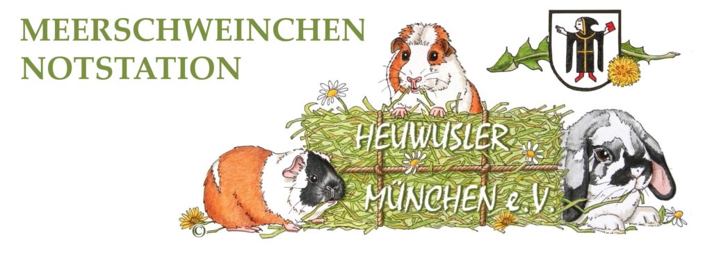 12768104_1677493015834145_3732731790855359483_o