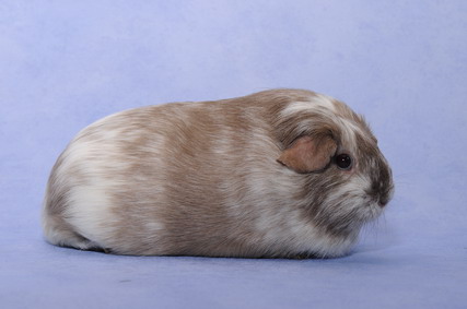 065_groessenveraenderung