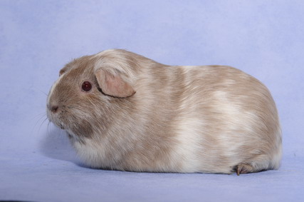 068_groessenveraenderung