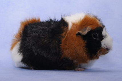 154_groessenveraenderung