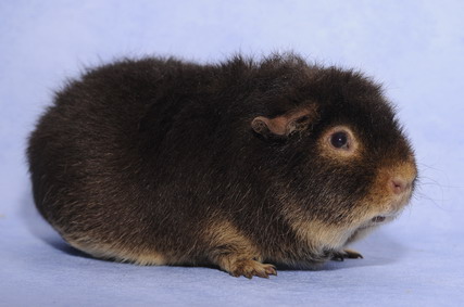 172_groessenveraenderung