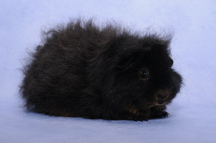 208_groessenveraenderung