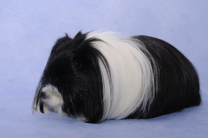 220_groessenveraenderung