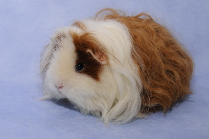 247_groessenveraenderung