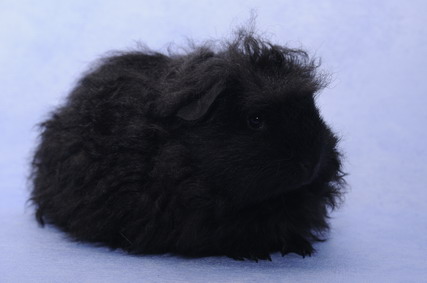 249_groessenveraenderung