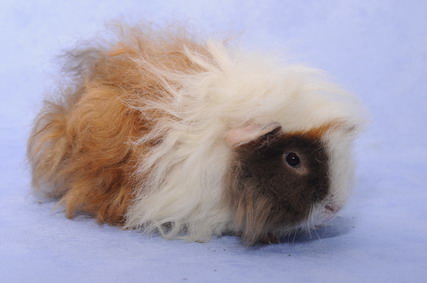 253_groessenveraenderung