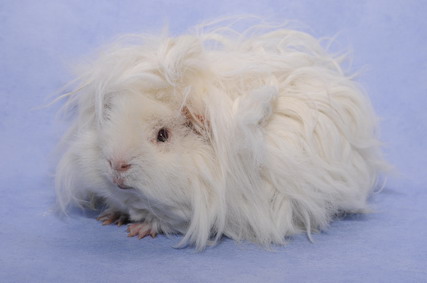 258_groessenveraenderung