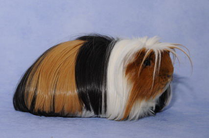 309_groessenveraenderung