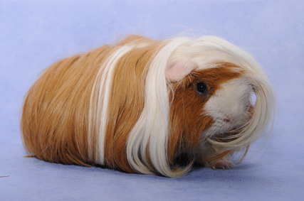 dsc_4548_groessenveraenderung