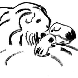 Landesverband Bayern