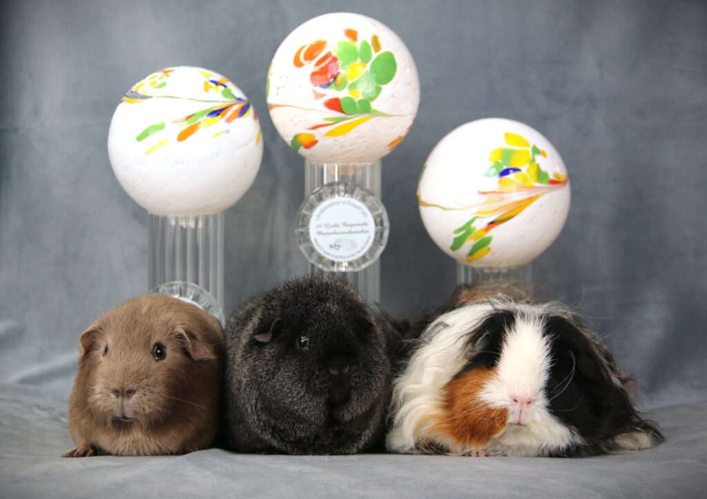 Best in Show Vaterstetten 2024