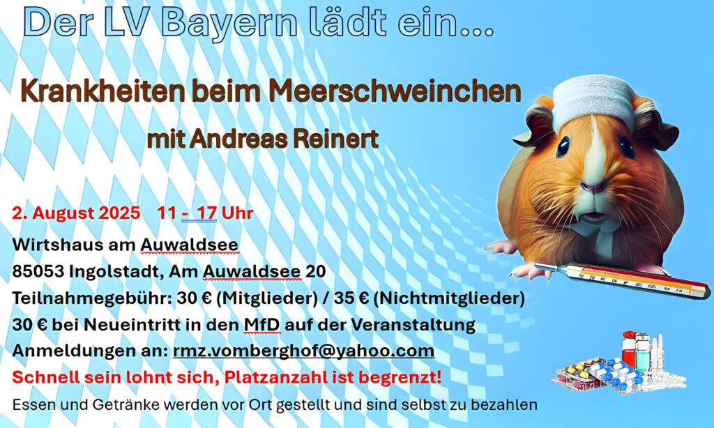 Krankheiten bei Meerschweinchen